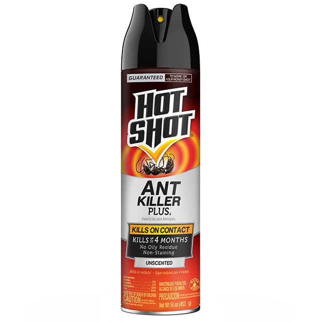 Hot shot ant bait dog clearance